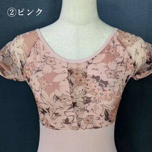 P5{݌ɏyzԕ oGI^[h I^[h oGI^[h bV V[X[ t`  K EGA bX _X Ќ_