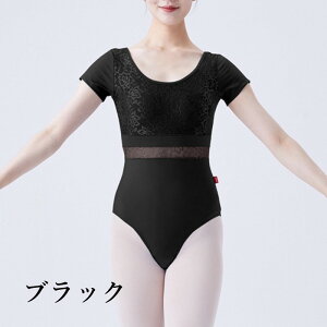 ݌ɏyzI^[h oGI^[h oG l WjA  [X _X EFA ԕ Z_X Ќ_X og V̑ WY_X V[X[ 