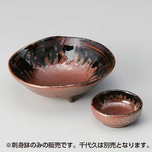 ݂̂Oc5.0 aH hgEt  Ɩp 15cm  hg hgM     ȗ H Pij[ g z go Е