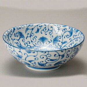 ʐ [ ؐH [ Ɩp [߂ [߂ ǂԂ ˔ ߂ {  21.5cm t  AWA 