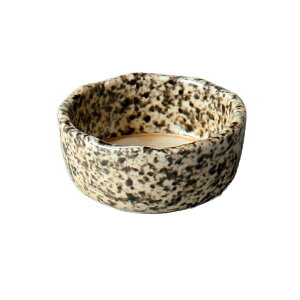 ؐtHvij aH hgpv Ɩp 7cm ݌ɏi ʌ Z[