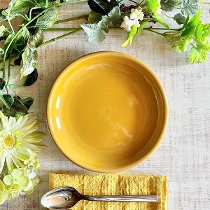 Jg[TCh Ao[ 19.5cmP[LM 19.8cm mH ی^v[giSj { Ɩp