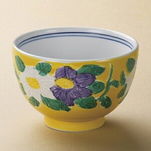 ������5.0���p�� �a�H�� ���i���j �Ɩ��p ��15.7cm �a�H �a�� �ǂ�Ԃ� �C�N�� �S�Θ� ����