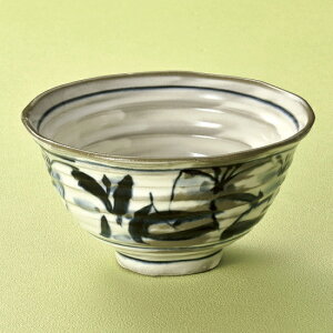 Ԕ5.5 aH ij Ɩp 17cm aH a ǂԂ CN SΘ 