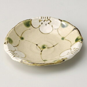 RԉQM aH t[cMEXMEM Ɩp 16.8cm aH a v[g t[c fU[g aَq Ö P[L aeCXg  M