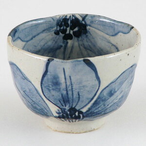 Ђtꕞq aH ꕞqEqEݏo Ɩp 10×7cm a aَq aJtF  X[v fU[g R[q[ T_