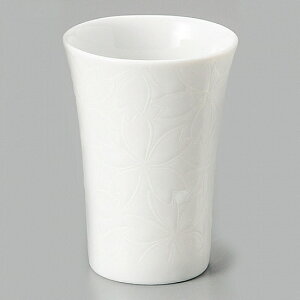  XJbv  aH E Ɩp 6.4cm a  { 