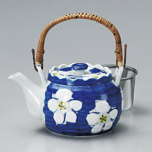 Z~ZF10yr Lc aH yrij Ɩp 1,800cc ЈH i aH ǂ