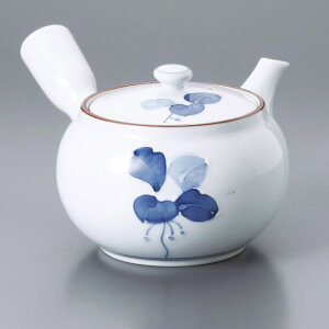 ܂傤}{ Lc aH }{ Ɩp