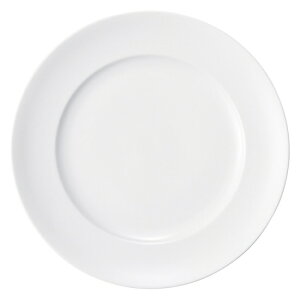 VFtYX^C 10Dv[g  mH ی^v[giLj Ɩp 27.2cm   