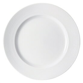 アローネ 白磁 26cmプレート 白い器 洋食器 丸型プレート（L） 業務用 約25.6cm 肉料理 魚料理 主菜