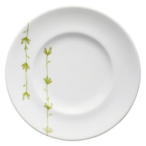 } O[ 24.5cmChv[g mH ی^v[giMj Ɩp 24.6cm ێM M mH fBi[M ~[gM _ JtF C^A ze  mM _ Vv