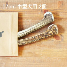 ＼スーパーSALEポイント5倍／【 17cm 中型犬用 】【2個セット】エゾ鹿の角 犬 おやつ 無添加 国産 北海道産 ペット・ペットグッズ ドッグフード ガム 骨（ボーン）型 硬い 長持ち おもちゃ 鹿角 角ガム