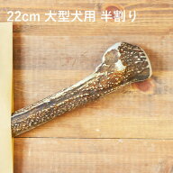 鹿の角 犬【 22cm 大型犬用 】【半割り】エゾ鹿の角 おやつ 無添加 国産 北海道産 ペット・ペットグッズ …