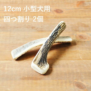 y 12cm ^p zylzy2ZbgzG]̊p   Y Y kCY ybgEybgObY hbOt[h K i{[j^ ̊p d   p pK