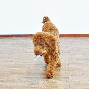 楽天市場 12cm 小型犬用 半割り エゾ鹿の角 犬 おやつ 無添加 ガム 国産 ペット ペットグッズ ドッグフード ガム 骨 ボーン 型 鹿の 角 硬い 長持ち おもちゃ 鹿角 角ガム るーららい