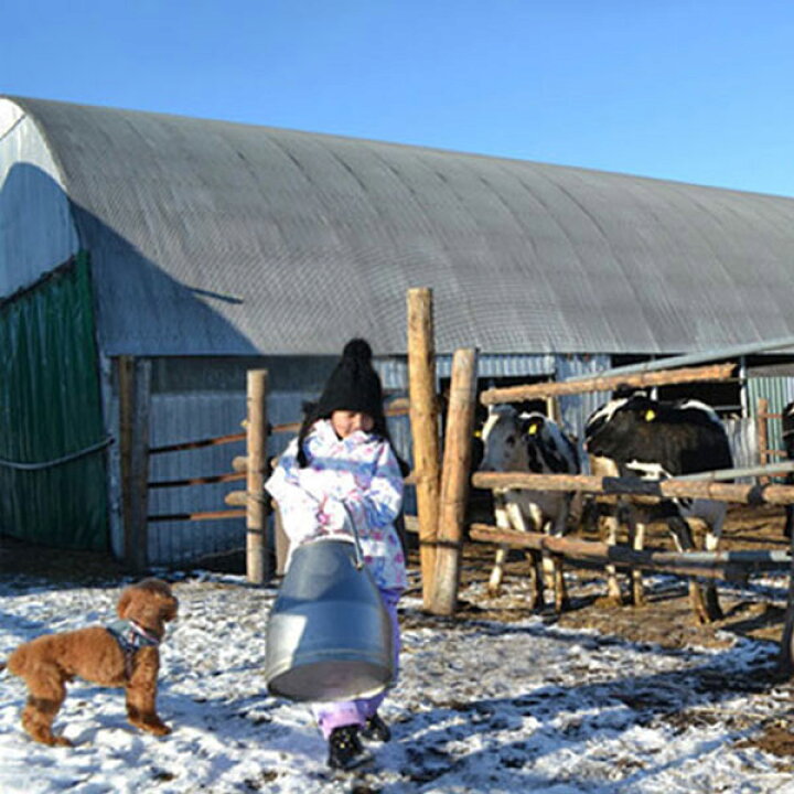 楽天市場 犬 おやつ チーズ 無添加 国産 ガジガジチーズバー 8cm 北海道 手作り ガム 長持ち 硬い ペット ペットグッズ 犬用品 ドッグフード サプリメント おやつ チーズ ドッグチュルピ るーららい