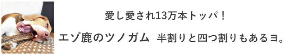鹿の角　犬　長持ち
