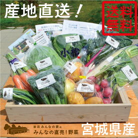 【送料無料】岩沼みんなの家のみんなの直売！野菜