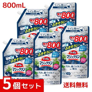 gC}WbNLEXv[ ہER ߂p ×5Zbg 4901301424990 /