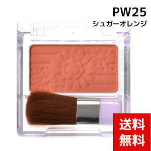 LCN pE_[`[NXPW25 VK[IW 4901008303222 #