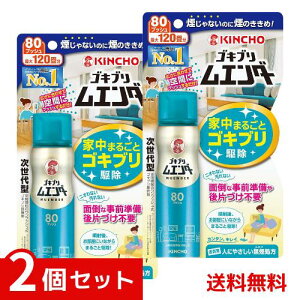 SLuG_[ 80vbV ő120  ×2Zbg 4987115323025 #