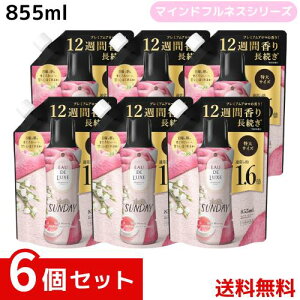 mA I[hNX tpr[Y }ChtlXV[Y Tf[ lߑւ 855mL x6Zbg 4987176241160 /