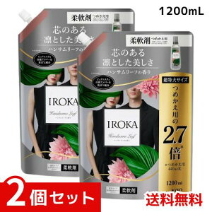 IROKA �t���A�t���O�����X �n���T�����[�t�̍��� �_��� �߂����p 2.5�{ 1200ml ×2�Z�b�g 4901301419842 /