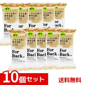 ��p�Ό� ForBack 135g �y���J���Ό� �ɂ��� �w���P�A �������� ×10�Z�b�g 4976631894225 *