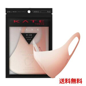 KATE(�P�C�g) �}�X�N(�s���N) III �ӂ��T�C�Y 2�� 4973167023785 #