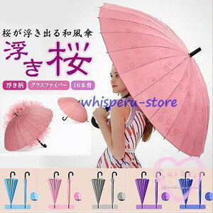 P fB[X P 傫 24{  JōoP ~J΍ ϕ   H Jp