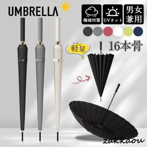 JP P fB[X Y 16{ ʋ ʊw y  P  ~J  傫 ΍ ϕP UVJbg 