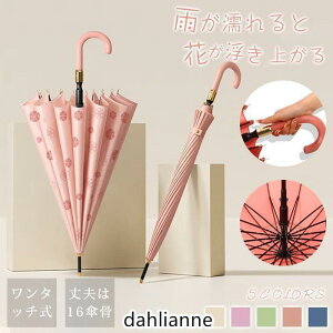 JP ԍ炭 fB[X P 16P ^b`P Jp ՌP  킢 Mtg v[g v ϕ