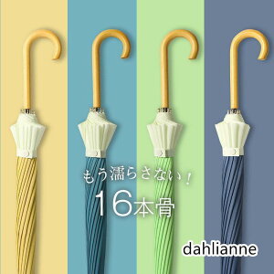 JP P WvP fB[X StP Jp jp  ^b` ܂ɂ 16{ P ɋ ~J΍