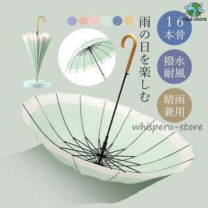 P JP fB[X P 16{ J v  킢 蕨 wlP fB[X ꂢ Z w Vv  JT