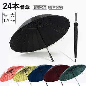 P P 24{ 120cm Y fB[XJP 傫 ϕ  x ܂ɂ v J n rWlX aP amP ~J΍ J΍ jp