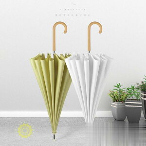 P fB[X 16{ P  16{ JP Y 85cm 傫 WvP Au CObY rWlX Jt  ~J JP 