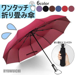܂肽ݎP 傫TCY fB[X Y v[g ^b` ^ J H P ܂肽 xOXt@Co[ 105cm [|[`