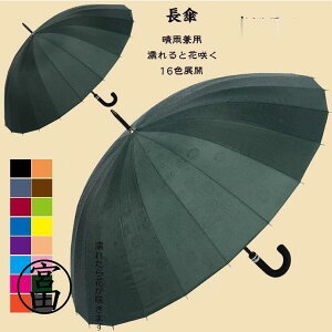 P fB[X Y  GƉԍ炭 P JP Jp UVJbg ~J΍ aP ϕ 24{  ̓