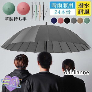 P JP 傫 Y fB[X Jp ՌՔM 24{ 3l\ v  rWlX ʋ hV̓ AEghA X|[cϐ