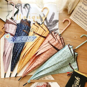 fB[X P   ou[ JP WvP  JT ܂ɂ ؐnh`[t