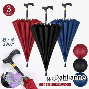 XebL P   16{ dݏ P Jp jp y ~ Y fB[X hV̓ v[g