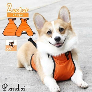 Gv CGv XS-L ybg ^ ^ pi U D D͂˗\h N h΍ h Vv