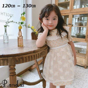 s[X  LbY q  ̎q G tA t [X ptX[u ԕ ݕt Gvt {^   L[