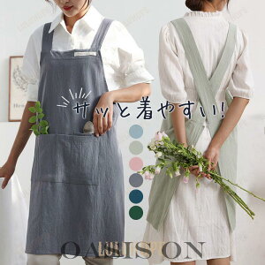 Gv  fB[X Y [NGv ۈm n s[X k 傫TCY 킢 d  w Ɩp Lb`