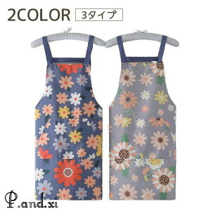 Gv fB[X ԕ t[  LoX |Pbg | | NX 킢   JtFGv Lb`  w