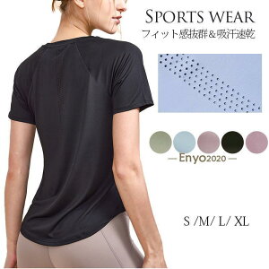 X|[cEFA TVc fB[X eB[Vc K jO ejX tBbglX Vv 傫