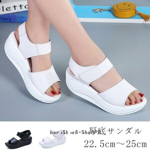 yX[p[Z[zT_ fB[X PUT_ ~[ T}[T_  ₷ ₷ ][g  ăT_ RtH[gT_ JWA C