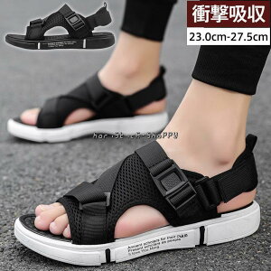 T_ Y X|[cT_ XgbvT_ bV  ʋC ~ JWA n y amp  r[` C 