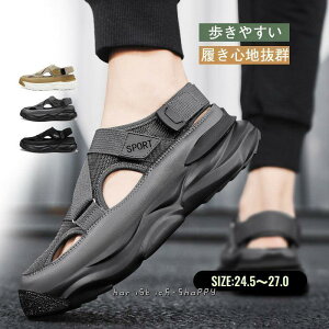 T_ Y r[`T_ X|[cT_ RtH[g V[Y ʋC  ₷ AEghA  JWA